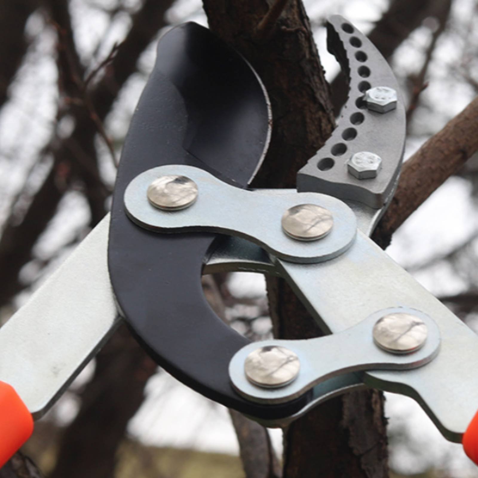 Garden Tools - Телескопические секаторы для веток с острым